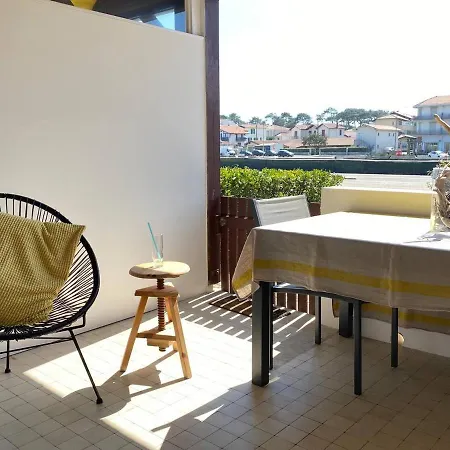 T2 Terrasse A 200m De La Plage * 卡布勒通
